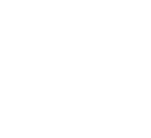 10 jaar Alternate