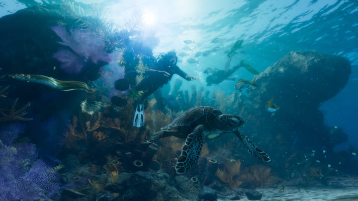 Onderwaterscène in de Leonida Keys: duikers, een schildpad en koraal