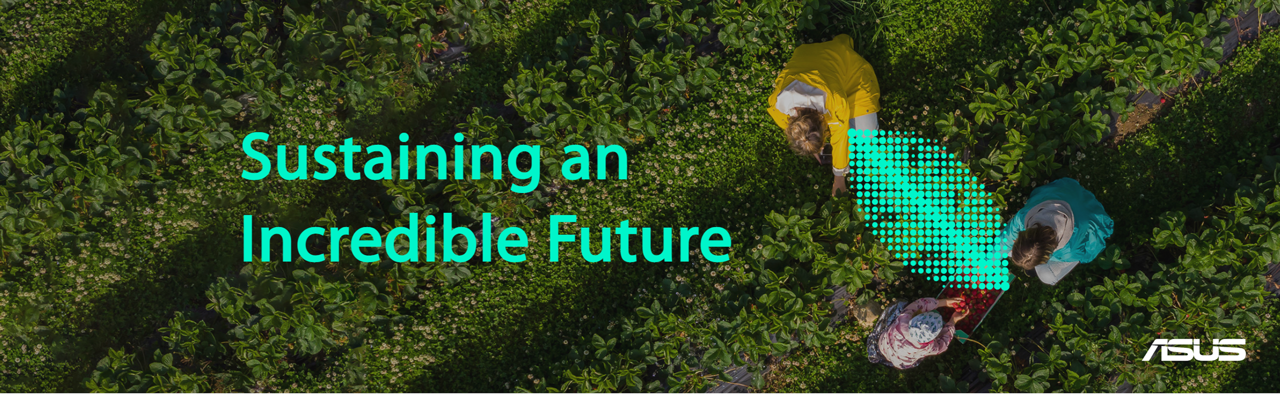 Sustaining an incredible future