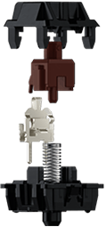 Tactile Switch