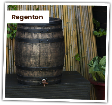 Regenton