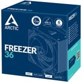 ARCTIC Freezer 36 CPU-koeler Aluminium, 4-pin PWM