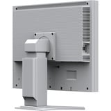EIZO EIZO 21,3`` S2134-GY 21.3" monitor Grijs