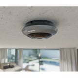 Reolink 6 MP 360° panoramische fisheye camera voor binnen Grijs, 4K, WiFi, PoE