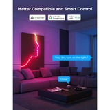 Govee Neon Rope Light 2 led strip Zwart, 4 meter, 2,4GHz wifi, Bluetooth