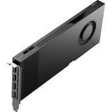 Quadro RTX 4000 ADA 20GB grafische kaart
