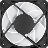 ARCTIC P12 Pro A-RGB case fan Zwart