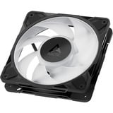 ARCTIC P12 Pro A-RGB case fan Zwart
