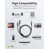 goobay Plus 3,5 mm jack naar 2x stereo RCA (Tulp) adapterkabel Zwart/zilver, 0,5 meter