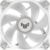 ASUS TUF Gaming TF120 ARGB 3IN1 case fan Wit, 3 stuks, inclusief ARGB-controller