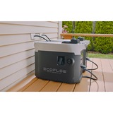 ECOFLOW Smart Generator Zwart/grijs