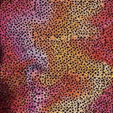 Cricut Infusible Ink Sheets Patterns - Rainbow Cheetah bedrukkingsmateriaal Meerkleurig, 30 x 30 cm