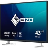 EIZO  42.5" 4K UHD monitor Zwart