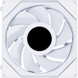 Lian Li UNI FAN TL 120 LCD Reverse RGB case fan Wit, 120 x 124 x 28 mm