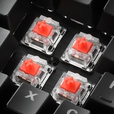 Sharkoon SKILLER SGK30 Red, gaming toetsenbord Zwart, BE Lay-out, Huano Red, RGB leds