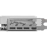 ASRock Intel® Arc B580 Steel Legend 12GB OC grafische kaart 1x HDMI, 3x DisplayPort