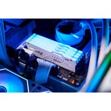 Kingston FURY 32 GB DDR5-5600 Kit werkgeheugen Wit, KF556C40BWAK2-32, Beast RGB, XMP