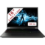 Medion ERAZER Major X10 MD62501 16" gaming laptop Zwart | Core i7-12700H | Arc 730M | 16 GB | 1 TB SSD