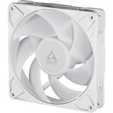 ARCTIC Arctic P14 Pro A-RGB wh case fan Wit