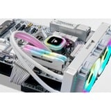 Corsair Vengeance RGB PRO SL 16 GB DDR4-3200 (2x 8 GB) werkgeheugen Wit, CMH16GX4M2E3200C16W, XMP 2.0