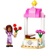 LEGO Disney - Asha's welkomstkraampje Constructiespeelgoed 30661