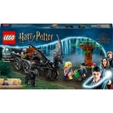 LEGO Harry Potter - Zweinstein Rijtuig en Thestralissen Constructiespeelgoed 76400