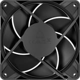 ARCTIC P12 Pro LN case fan Zwart, 120 x 120 x 25 mm, PWM