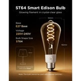 Govee Edison bulb E27 led-lamp 2.4GHz wifi, Bluetooth