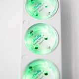 Shelly Power Strip Gen4 stekkerdoos Wit, WiFi, Bluetooth, Zigbee