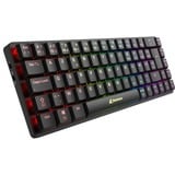 Sharkoon PureWriter W65 RGB mechanisch toetsenbord Zwart, BE lay-out (AZERTY), Kailh Choc V2 Low Profile Red, 65%