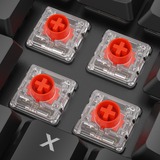 Sharkoon PureWriter W65 RGB mechanisch toetsenbord Zwart, BE lay-out (AZERTY), Kailh Choc V2 Low Profile Red, 65%