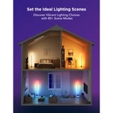 Govee Floor Lamp 2 Zwart, 2,4GHz wifi, Bluetooth