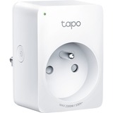 TP-Link TAPO P100 schakel stekkerdoos Wit, FR