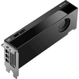 NVIDIA® RTX PRO 4000 SFF Blackwell grafische kaart 4x DisplayPort