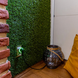 Shelly Plug S Gen3 slimme wifi stekker Wit, 4 stuks, Matter, Wifi, Bluetooth