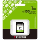 Kingston Canvas Select Plus 1 TB SDXC geheugenkaart UHS-I U3, Class 10, V30