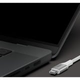 Belkin BoostCharge USB-C to USB-C Cable 240W kabel Wit, 1 meter