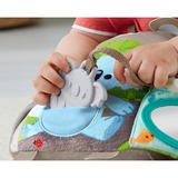 Fisher-Price Activiteitenboek Zitten en Knuffelen Leerboek 