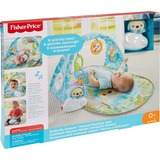 Fisher-Price Vlinderdromen Speelgym met Muziek Speelbogen/dekens 