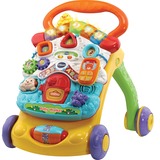 VTech Baby - Walker Leerplezier 