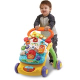 VTech Baby - Walker Leerplezier 