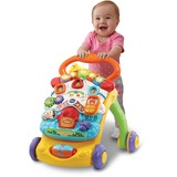 VTech Baby - Walker Leerplezier 