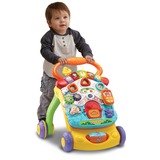 VTech Baby - Walker Leerplezier 