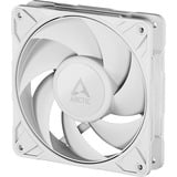 ARCTIC Arctic P12 Pro PST wh case fan Wit
