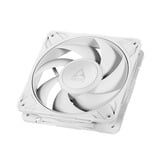 ARCTIC Arctic P12 Pro PST wh case fan Wit