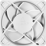 ARCTIC Arctic P12 Pro PST wh case fan Wit
