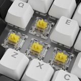 Sharkoon SKILLER SGK50 S3, gaming toetsenbord Wit, US lay-out, Gateron Yellow, RGB leds, Hot-swappable, 75%