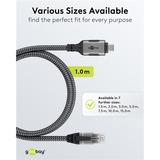 goobay Netwerkadapter USB-C 3.2 Gen1 naar RJ-45 Zwart/zilver, 1 meter