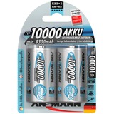 Ansmann NiMh Professional Mono D HR20 oplaadbare batterij Zilver, 10000 mAH