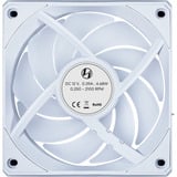 Lian Li UNI FAN CL FLEX 120 RGB case fan Wit, 120 x 124 x 28 mm, PWM